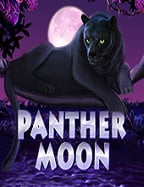 ปัญหา agent sbobet เข า ไม ได ที่ต้องรู้ก่อนเล่น